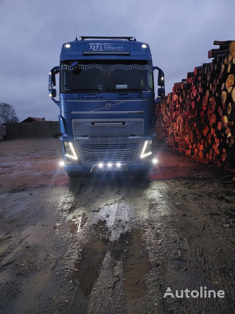 Volvo FH 16 kamion za prevoz drva