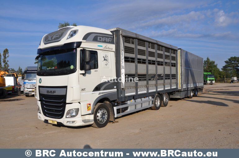 DAF XF 460 FAR  kamion za prevoz konja + prikolica za prevoz konja