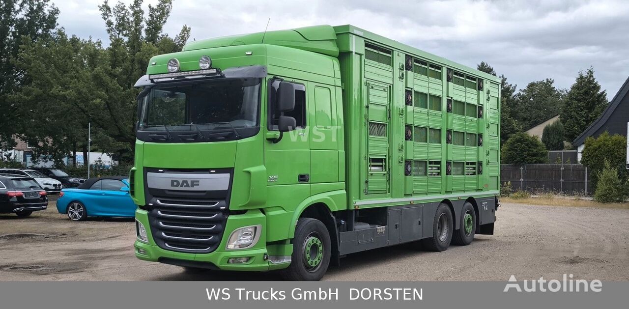 DAF XF 460 FAN Finkl 4 Stock Hubdach TOP ZUSTAND kamion za prevoz stoke