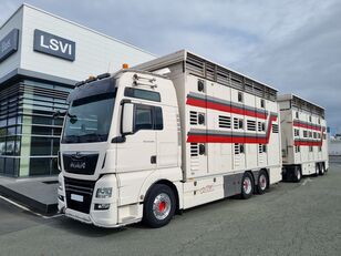 MAN TGX 26.500 2 étages bovins kamion za prevoz stoke + prikolica za prevoz stoke