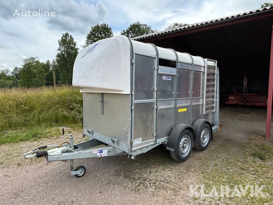 Ifor Williams Trailers Djurtransport för kreatur Ifor Williamss prikolica za prevoz stoke