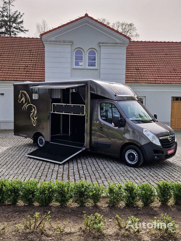 Renault Master vozilo za prevoz konja